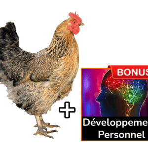 Devenez un expert en élevage de poulet de chair Cours Complet